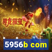 5956b com